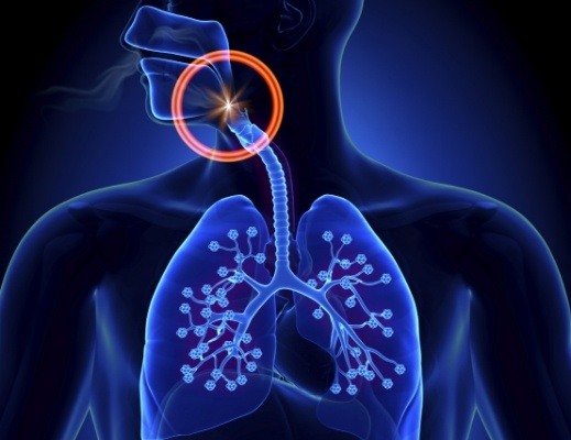 Animated side profile with the throat circled in red